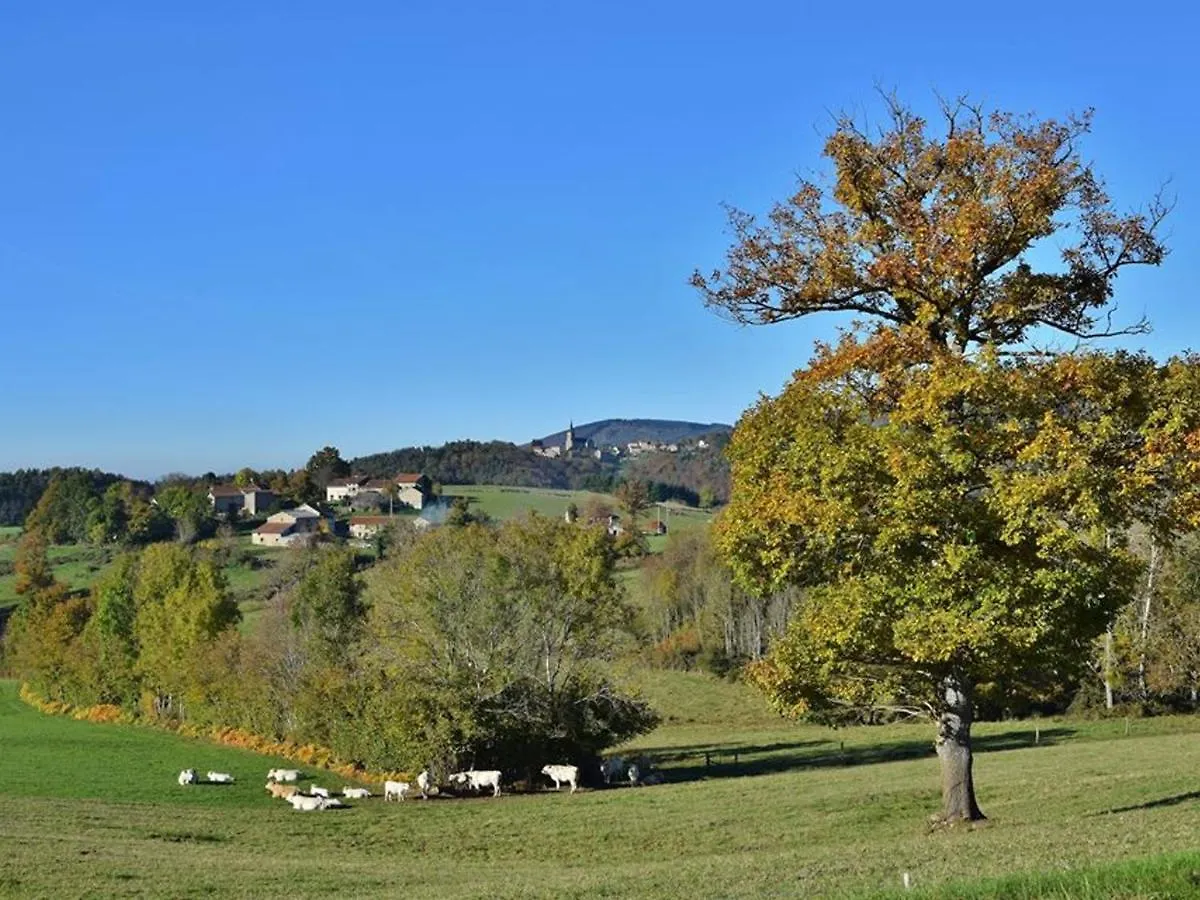 Holiday home Gite Familial Tout Confort Avec Jardin Et Loisirs A Proximite, Ideal Pour 12-14 Pers. - Fr-1-489-340 La Chabanne